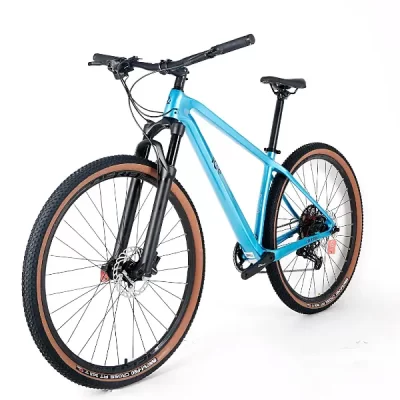 Bici de montaña carbono ice mt10