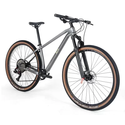 Bicicleta de carbono ICe MT08