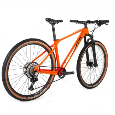 Bicicleta montaña Lobito MT10